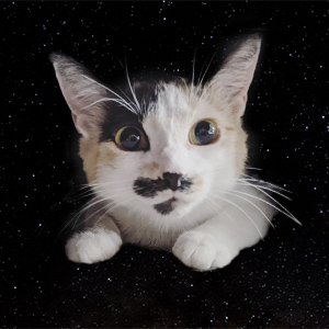 Freddie in space