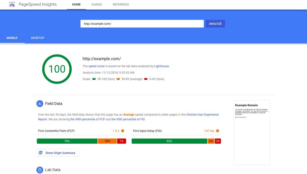 Screenshot from PageSpeed Insights